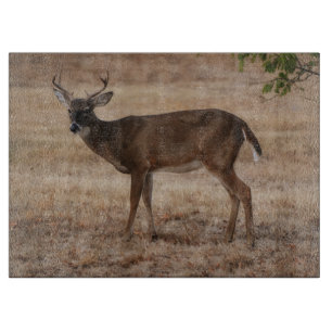Hirschbock Wildkunst Glas Schneidbrett Schneidebrett