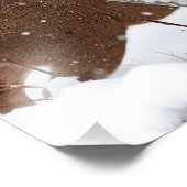 Hirschbuck im Winter im Schnee Fotodruck (Ecke)