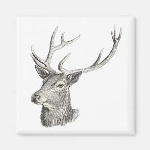 Hirschbuck Kopf mit Antlern Schwarz und Weiß Kunst Magnet