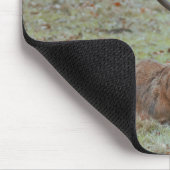 Hirschbuck Mousepad (Ecke)