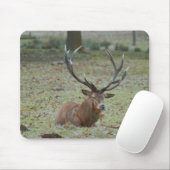 Hirschbuck Mousepad (Mit Mouse)