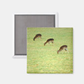 Hirsche 2 magnet (Vorderseite/Rückseite)