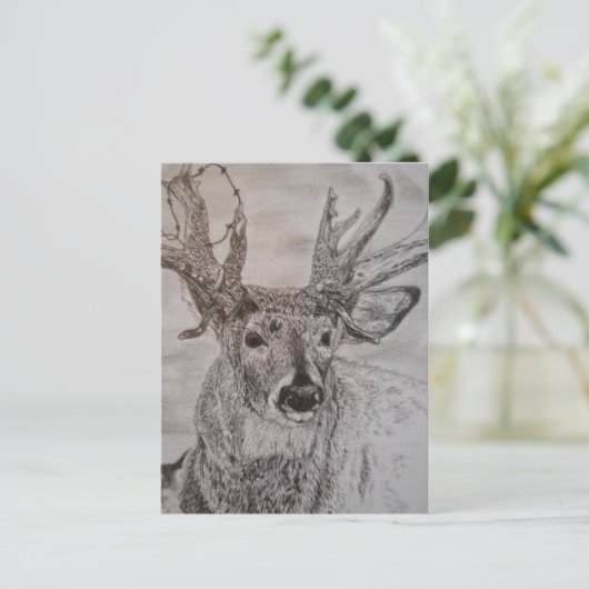 Hirsche 2 postkarte (Stehend Vorderseite)