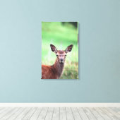 Hirsche 4 leinwanddruck (Insitu (Holzboden))