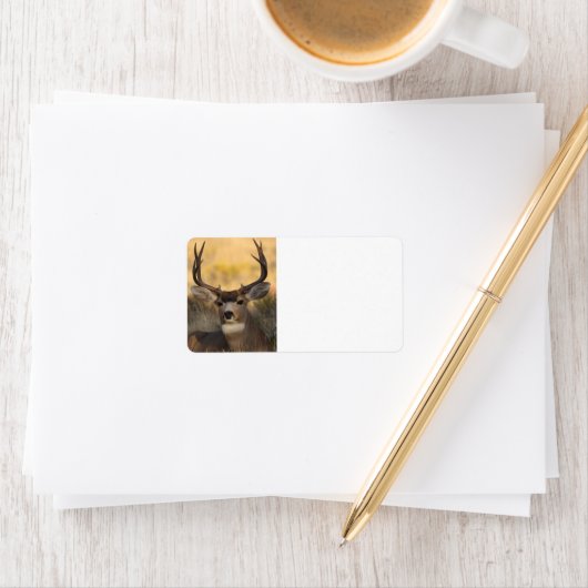 Hirsche Adressaufkleber (Insitu)