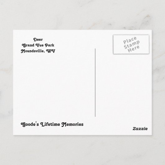 Hirsche am Grand Vue Park Postkarte (Rückseite)