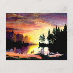 Hirsche am Morgengrauen Foto drucken Postkarte