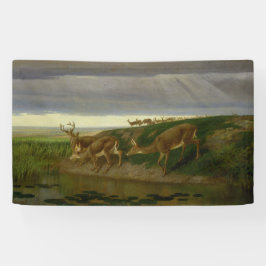 Hirsche an der Prärie (von William Holbrook Beard) Banner