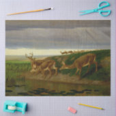 Hirsche an der Prärie (von William Holbrook Beard) Seidenpapier (Basteln)