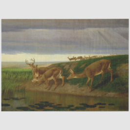 Hirsche an der Prärie (von William Holbrook Beard) Seidenpapier