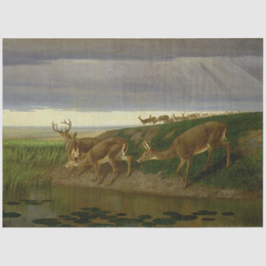 Hirsche an der Prärie (von William Holbrook Beard) Seidenpapier (Vorderseite)