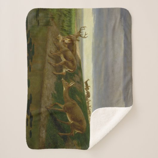 Hirsche an der Prärie (von William Holbrook Beard) Sherpadecke (Vorderseite)