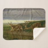 Hirsche an der Prärie (von William Holbrook Beard) Sherpadecke (Vorderseite (Horizontal))