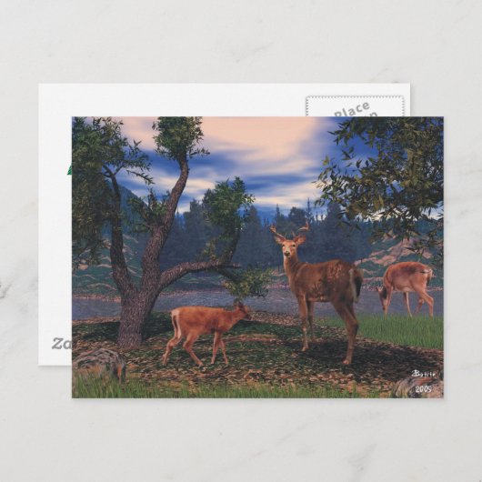 Hirsche Ansammlung Postkarte (Vorne/Hinten)