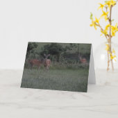 Hirsche auf dem Feld Karte (Gelbe Blume)