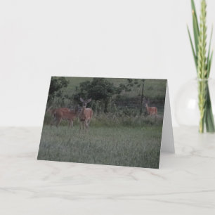Hirsche auf dem Feld Karte