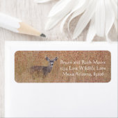 Hirsche auf der Wiese (Insitu)