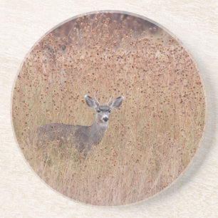 Hirsche auf der Wiese Getränkeuntersetzer