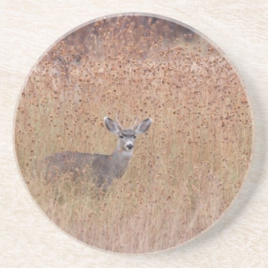 Hirsche auf der Wiese Getränkeuntersetzer (Vorne)