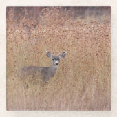 Hirsche auf der Wiese Glasuntersetzer (Vorderseite)