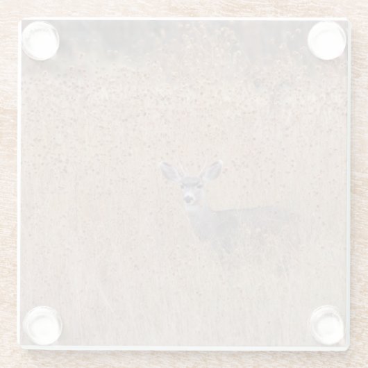 Hirsche auf der Wiese Glasuntersetzer (Rückseite)