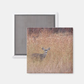 Hirsche auf der Wiese Magnet (Vorderseite/Rückseite)