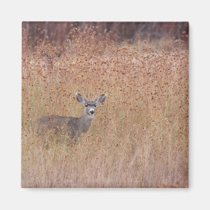 Hirsche auf der Wiese Magnet