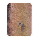 Hirsche auf der Wiese Magnet (Vertikal)