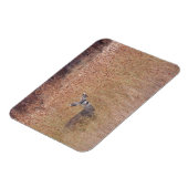 Hirsche auf der Wiese Magnet (Linke Seite)