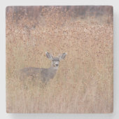 Hirsche auf der Wiese Steinuntersetzer (Vorderseite)