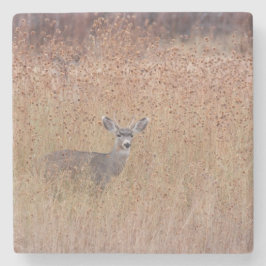 Hirsche auf der Wiese Steinuntersetzer