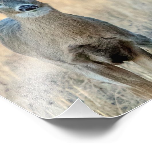 Hirsche auf einem Feld Fotodruck (Ecke)