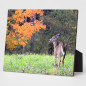 Hirsche auf einem Herbstfeld Fotoplatte (Seite)