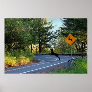 Hirsche aufpassen poster