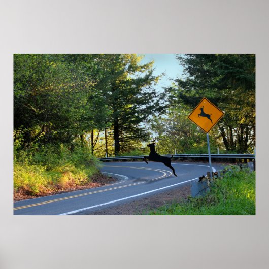 Hirsche aufpassen poster (Vorne)