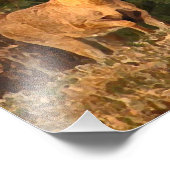 Hirsche bei Sonnenaufgang Fotodruck (Ecke)