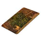 Hirsche bei Sonnenaufgang Magnet (Linke Seite)