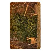 Hirsche bei Sonnenaufgang Magnet (Vertikal)