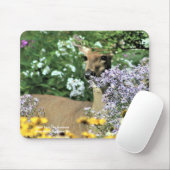 Hirsche Besuch der nahen Gärten Mousepad (Mit Mouse)