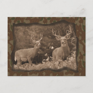 Hirsche Camouflage Postkarte