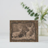 Hirsche Camouflage Postkarte (Stehend Vorderseite)
