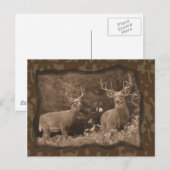 Hirsche Camouflage Postkarte (Vorne/Hinten)