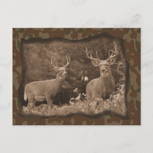 Hirsche Camouflage Postkarte (Vorderseite)
