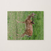 Hirsche, Damhirsche im Freien Puzzle (Horizontal)