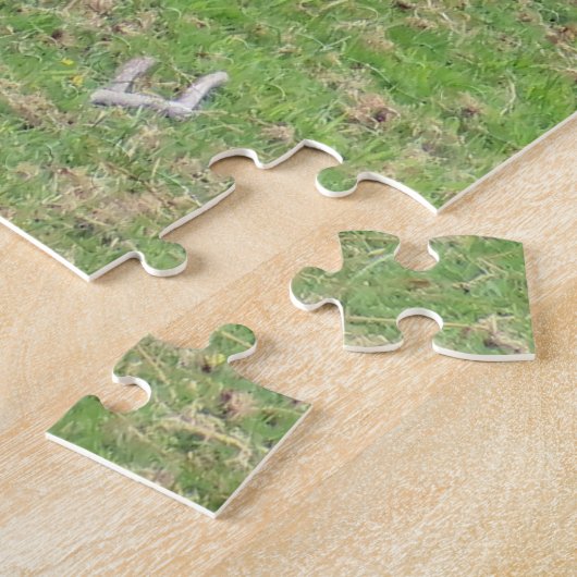 Hirsche, Damhirsche im Freien Puzzle (Seite)