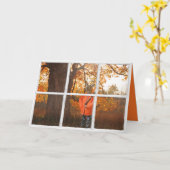 Hirsche, die als Jäger in Fenster und Wäldern verk Karte (Gelbe Blume)