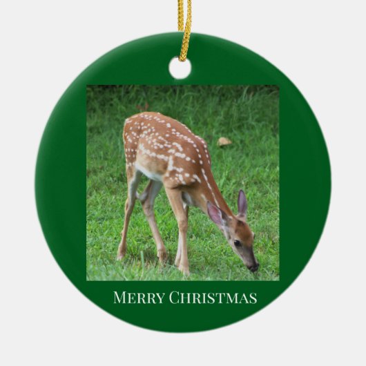 Hirsche-Foto-Ornament Keramik Ornament (Vorne)