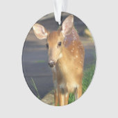 Hirsche-Foto-Ornament Ornament (Vorderseite)