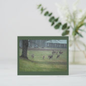 Hirsche Foto Postkarte (Stehend Vorderseite)