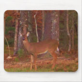 Hirsche, Grüngrasrot und Gold-Blätter Mousepad (Vorne)